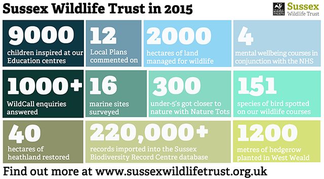 A year in numbers